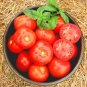 Rutgers Tomato Vegetable Garden 50+ seeds