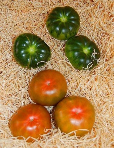 Raf Tomato Vegetable Garden 50+ seeds