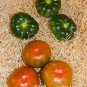 Raf Tomato Vegetable Garden 50+ seeds