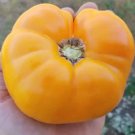 Lillian’S Yellow Tomato Vegetable Garden 50+ seeds