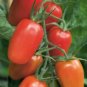 Juliet Tomato Vegetable Garden 50+ seeds