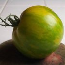 Green Zebra Tomato Vegetable Garden 50+ seeds