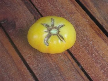 Garden Peach Tomato Vegetable Garden 50+ seeds