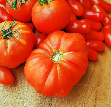 Brandywine Tomato Vegetable Garden 50+ seeds