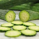 Tortarello Verde Scuro Cucumbers A Variety From Italy Vegetable Garden 25 seeds