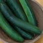 Sweet Success Cucumbers 12/14"" Long Cucks 54 Day Harvest Thin Skin Cuck 25 seeds