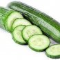 Long Green Improved Cucumbers Heirloom Cucks Vegetable Crispy Pickling 25 seeds