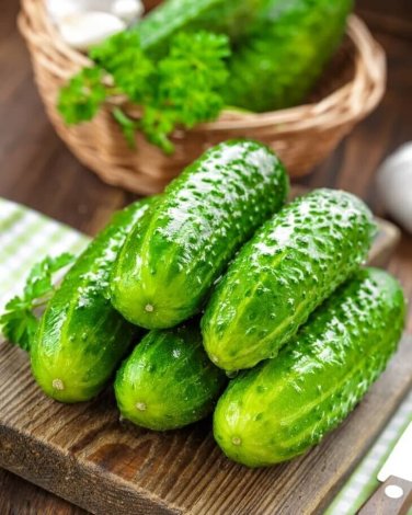 South Dakota Cucumbers Great Tasting Crunchy Cucks Garden Planting Veg 25+ seeds