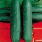 Dasher Ii Cucumbers Hybrid 55-60 Days Cucks Vegetable Garden Planting P 25 seeds