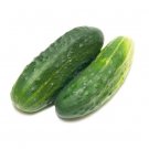 New Jersey Cucumbers Great Tasting Cucks 6"" Long Pickling Slicing Sala 25+ seeds