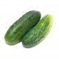 New Jersey Cucumbers Great Tasting Cucks 6"" Long Pickling Slicing Sala 25+ seeds