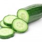 New Mexico Cucumbers Slicing Pickling Pickles Crispy Snap Crunch Cucks 25+ seeds
