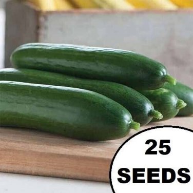 Diva Cucumbers Hybrid Cucks 6"" Long Vegetable Pickling Salads Food 25 seeds