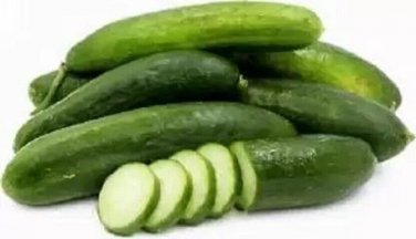 Oregon Cucumbers 8"" Long Garden Cucks Easy Growing Vegetables Pickling 25+ seeds