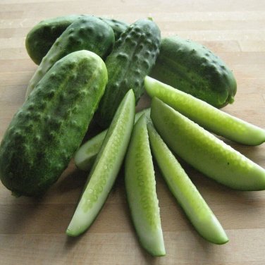 Massachusetts Cucumbers Pickling Northern Cucks Small 5"" Long Vegetabl 25+ seeds