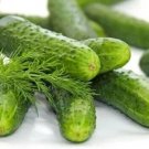 Utah Cucumbers Vegetable  Cucks Pickling Slicling 25+ seeds