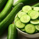 Vermont Cucumbers Easy Growing Cucks Vegetable Garden 55 Day Harvest C 25+ seeds