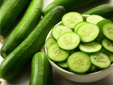 Vermont Cucumbers Easy Growing Cucks Vegetable Garden 55 Day Harvest C 25+ seeds