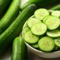 Vermont Cucumbers Easy Growing Cucks Vegetable Garden 55 Day Harvest C 25+ seeds