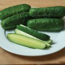 Supremo Cucumbers Pickling Or Slicing Vegetable Garden Planting 25 seeds
