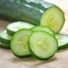 North Dakota Cucumbers Tasty Crispy Cucks Planting Vegetable Garden Bu 25+ seeds