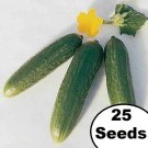 Muncher Cucumbers Burpless Cukes 9"" Long Pickling Slicing Vegetable 25 seeds