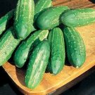 Calypso Cucumbers Hybrid 52 Days Harvest 3"" Firm Vegetables Cukes 25 seeds
