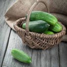 Spacemaster Cucumbers 65 Day Harvest 6/8"" Long Cucks Pickling Garden 25 seeds