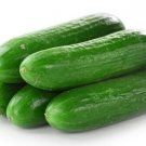 West Virginia Cucumbers Planting Vegetable Garden Canning Cucks Crispy 25+ seeds