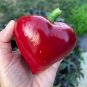 Lesya Red Paprika Peppers Ukranian Edible Planting Vegetable Garden 25 seeds
