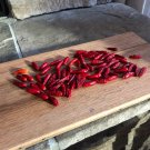 Tequila Sunrise Sweet Peppers Edible Planting Vegetable Garden 25 seeds