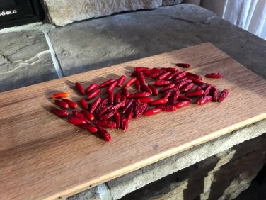 Tequila Sunrise Sweet Peppers Edible Planting Vegetable Garden 25 seeds