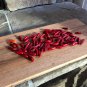 Tequila Sunrise Sweet Peppers Edible Planting Vegetable Garden 25 seeds