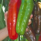 Marconi Peppers Giant Edible Planting Vegetable Easy To Grow Garden 25 seeds