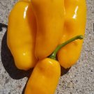 Yellow Datil Peppers Edible Planting Vegetable Garden 25 seeds