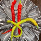 Turkish Snake Peppers Edible Planting Vegetable Garden 25 seeds