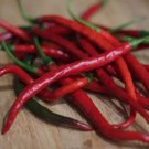 Gong Bao Peppers Edible Planting Vegetable Garden 25 seeds