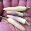 White Thai Peppers Edible Planting Vegetable Garden 25 seeds