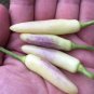 White Thai Peppers Edible Planting Vegetable Garden 25 seeds