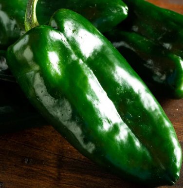 Ancho Poblano Grande Peppers Edible Planting Vegetable Garden 25 seeds