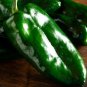 Ancho Poblano Grande Peppers Edible Planting Vegetable Garden 25 seeds