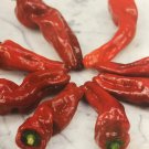 Melrose Peppers Heirloom Edible Planting Vegetable Garden 25 seeds