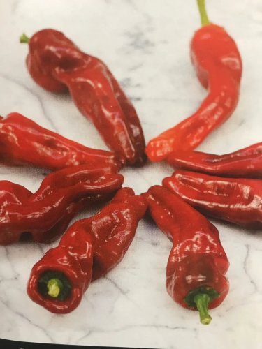 Melrose Peppers Heirloom Edible Planting Vegetable Garden 25 seeds