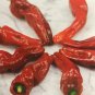 Melrose Peppers Heirloom Edible Planting Vegetable Garden 25 seeds