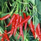 Thai Hot, Heirloom Peppers Edible Planting Vegetable Garden 25 seeds