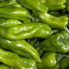 Pepperm Cubanelle Sweet Peppers Edible Planting Vegetable Garden 25 seeds