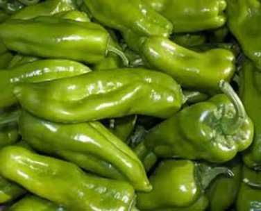 Pepperm Cubanelle Sweet Peppers Edible Planting Vegetable Garden 25 seeds