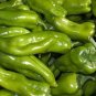 Pepperm Cubanelle Sweet Peppers Edible Planting Vegetable Garden 25 seeds