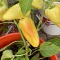 Gypsy Sweet Peppers Planting  Vegetable Garden 25 seeds