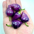 Purple Ufo Peppers Premium Heirloom Vegetable Garden 25 seeds